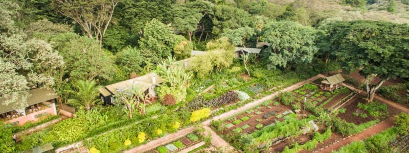 Aerial view of lush gardens and greenery at Gibbs Farm in Tanzania, surrounded by forested hills.