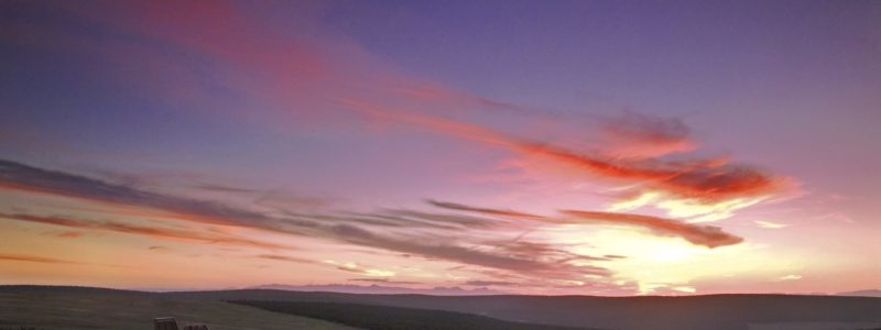 gorah_-_game_drive_drinks_stop