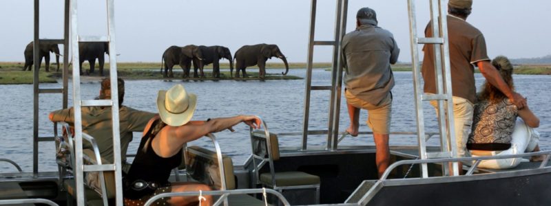 Chobe river boat ride with view of elephants in Botswana.