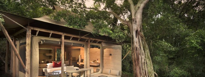 kichwa-superior-forest-2018-03