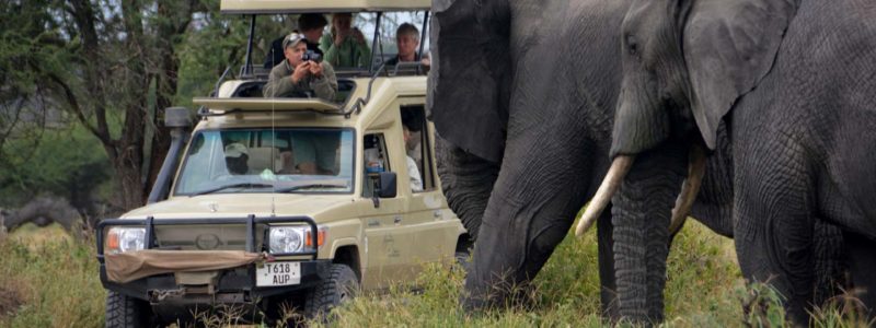 legendary_expeditions_camps_ellies_face_4x4