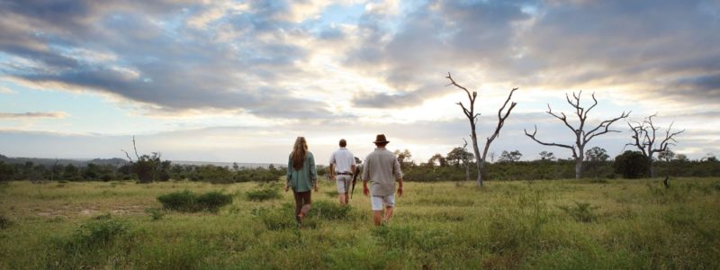 Three people walking away from the camera through tall green grass in an open savanna landscape under a dramatic cloudy sky at dusk. Bare trees are visible in the background, suggesting a safari or nature walk experience.
