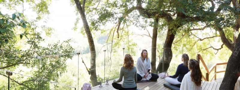 Several individuals are meditating or practicing yoga on a wooden deck surrounded by trees, suggesting an outdoor wellness session at Londolozi's Healing House. The serene natural setting provides a tranquil environment for relaxation and mindfulness.