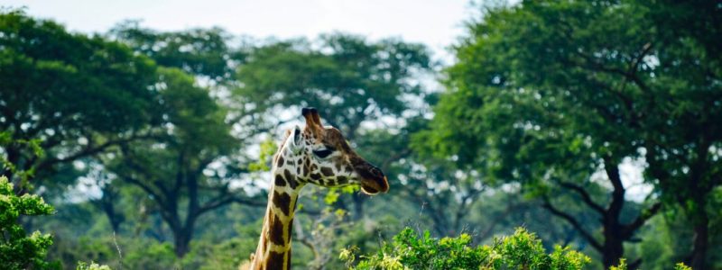 matthew-essman-tlzGeWOA-z0-unsplash-1024x681