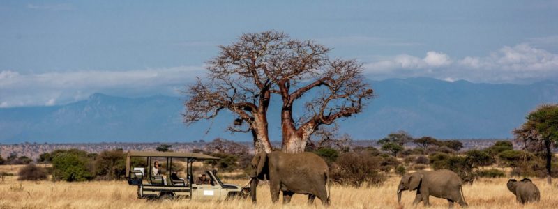 nimali_tarangire_422