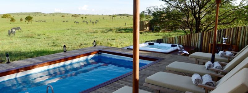 nyaruswiga-swimming_pool_zebra