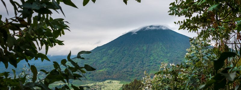 Rwandan view from bushes of mountain touching the clouds. African safari.
