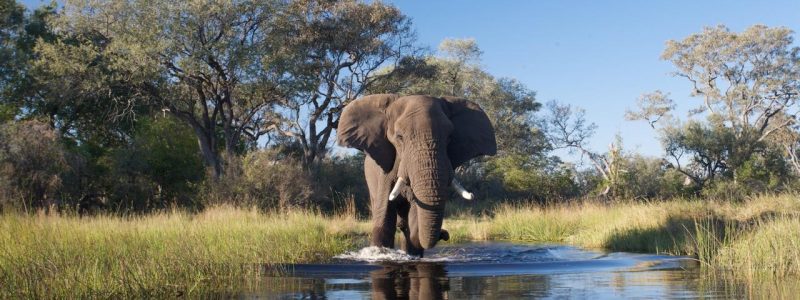 sanctuary-stanleys-camp-background2 copy