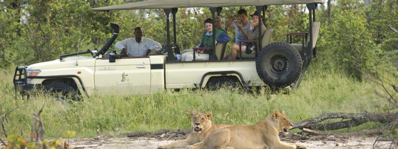 sanctuary-stanleys-camp-game-drive
