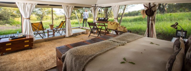 serengeti_pioneer-6r1a6123