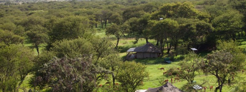 serengeti_pioneer_img_7954