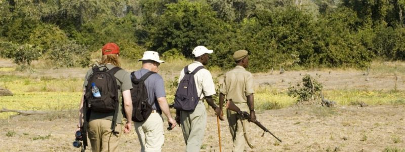 shutterstock_1354425