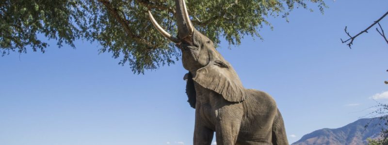 shutterstock_206934259