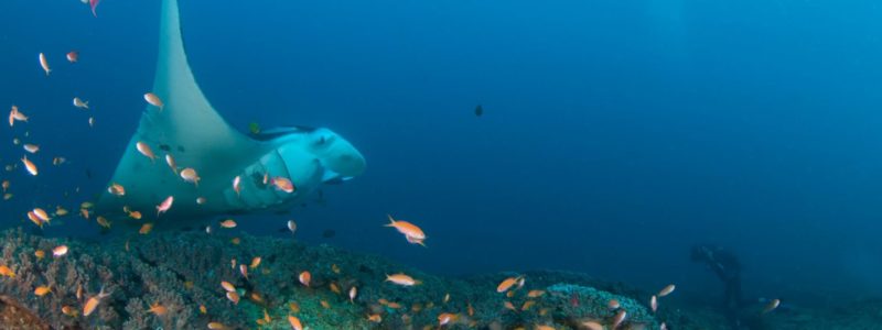 shutterstock_348693158