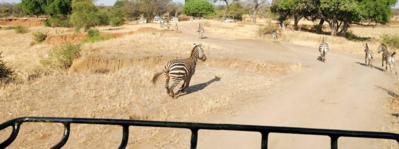 shutterstock_593258183