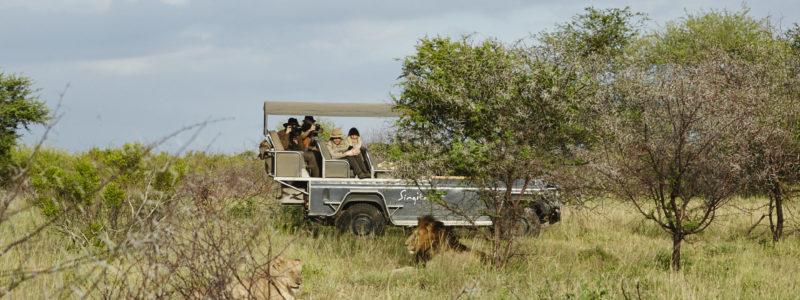 singita-lebombo-game-drive