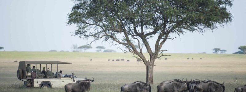 singita_grumeti_wildlife_-_mike_sutherland_188