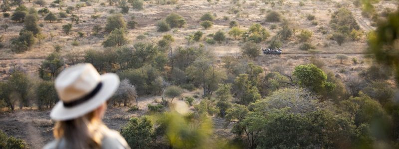 Woman looking at view of South African terrain and jeep on safari through the vegetation in warm African sun.