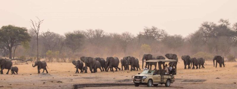 the_hide_september-282