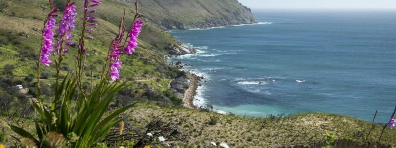 tintswalo_atlantic_-_d421998