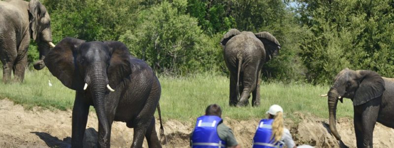 victoria_falls_river_lodge_-_canoe_safaris_posted