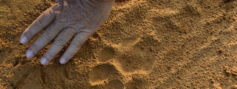 victoria_falls_river_lodge_631