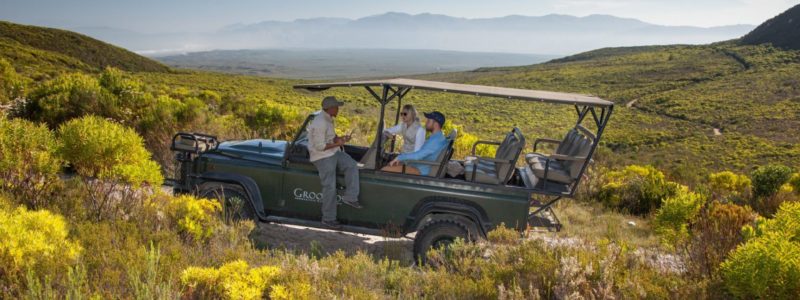 web-grootbos-experience-flower-safari-04