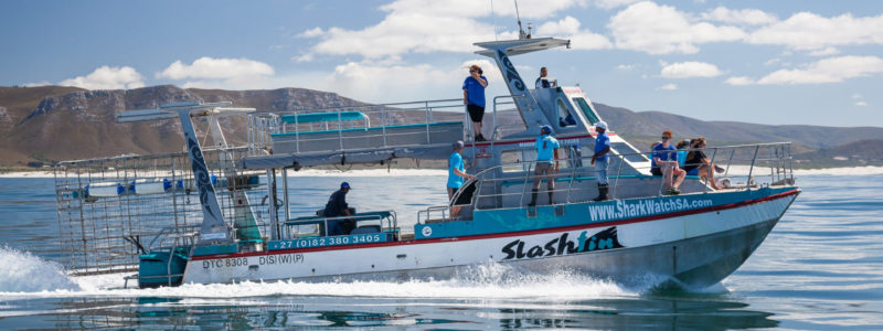 web-grootbos-experience-shark-cage-dive-01