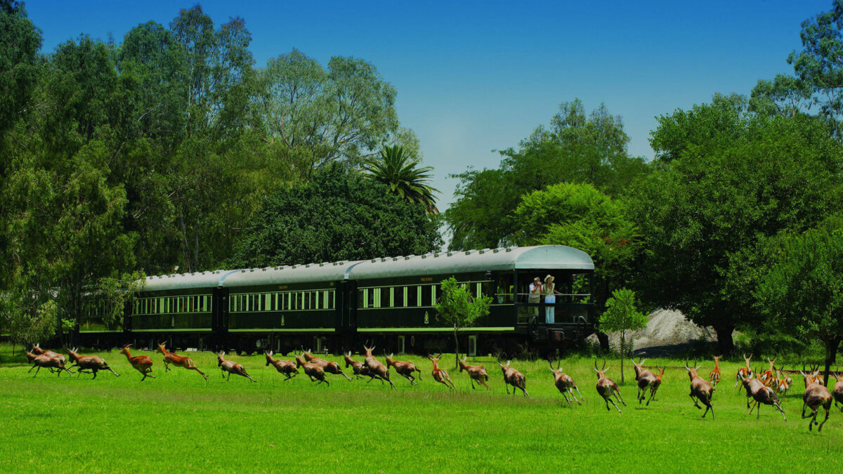 Rovos Rail and River Slow Train Travel Safari