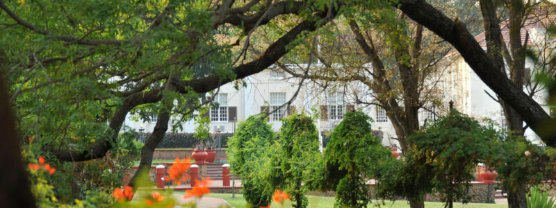 Victoria Falls Garden