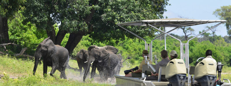 Zambezi Queen Photo Safari