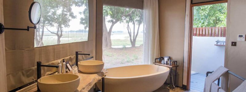 Sausage Tree Bathroom