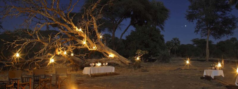 Sausage Tree Bush Dinner