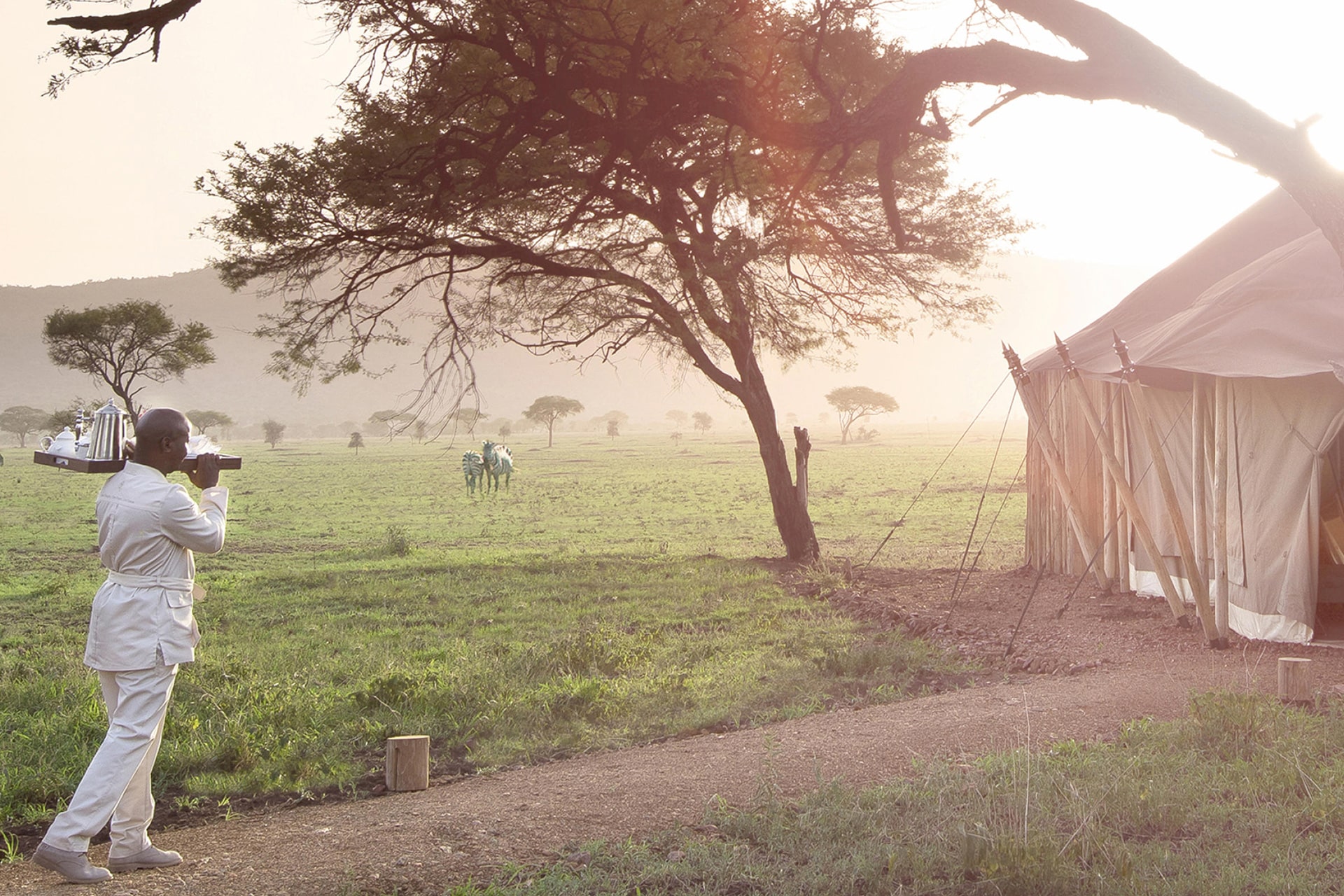 Luxury lodge while on a Tanzania safari