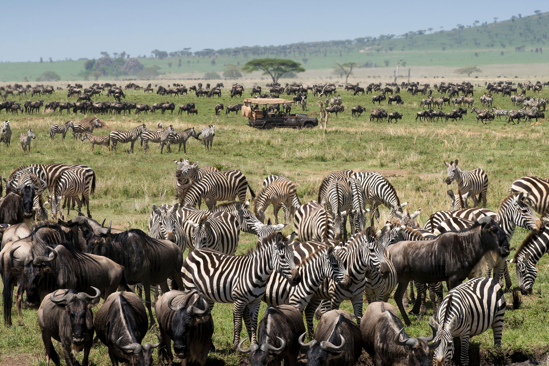 One Nature lodge which is featured in our journal for masai mara vs serengeti
