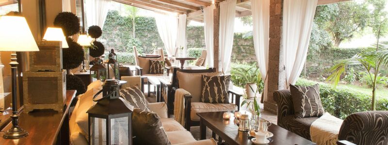 The Palacina Terrace