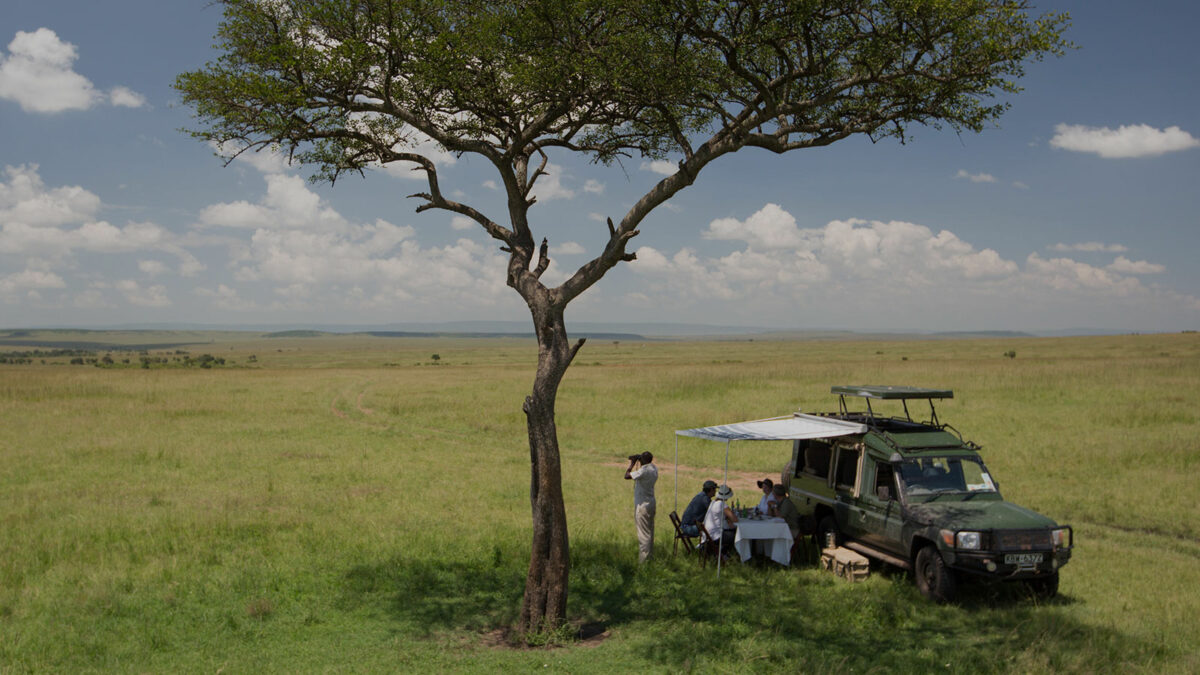 Luxury Kenya Safari pick nick surveying luscious African plains under a tree.