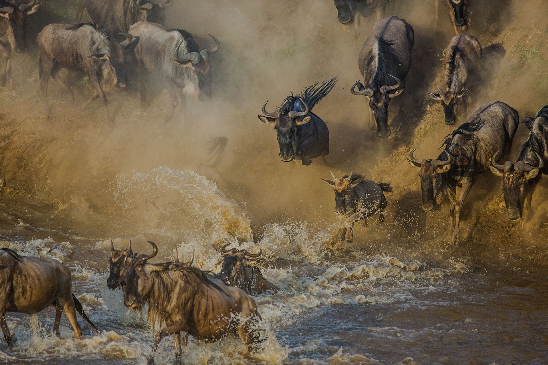 Masai Mara vs Serengeti Imagery