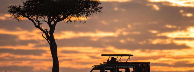 Luxury Kenya Safari golden Sunset Game Drive through luscious African plains.