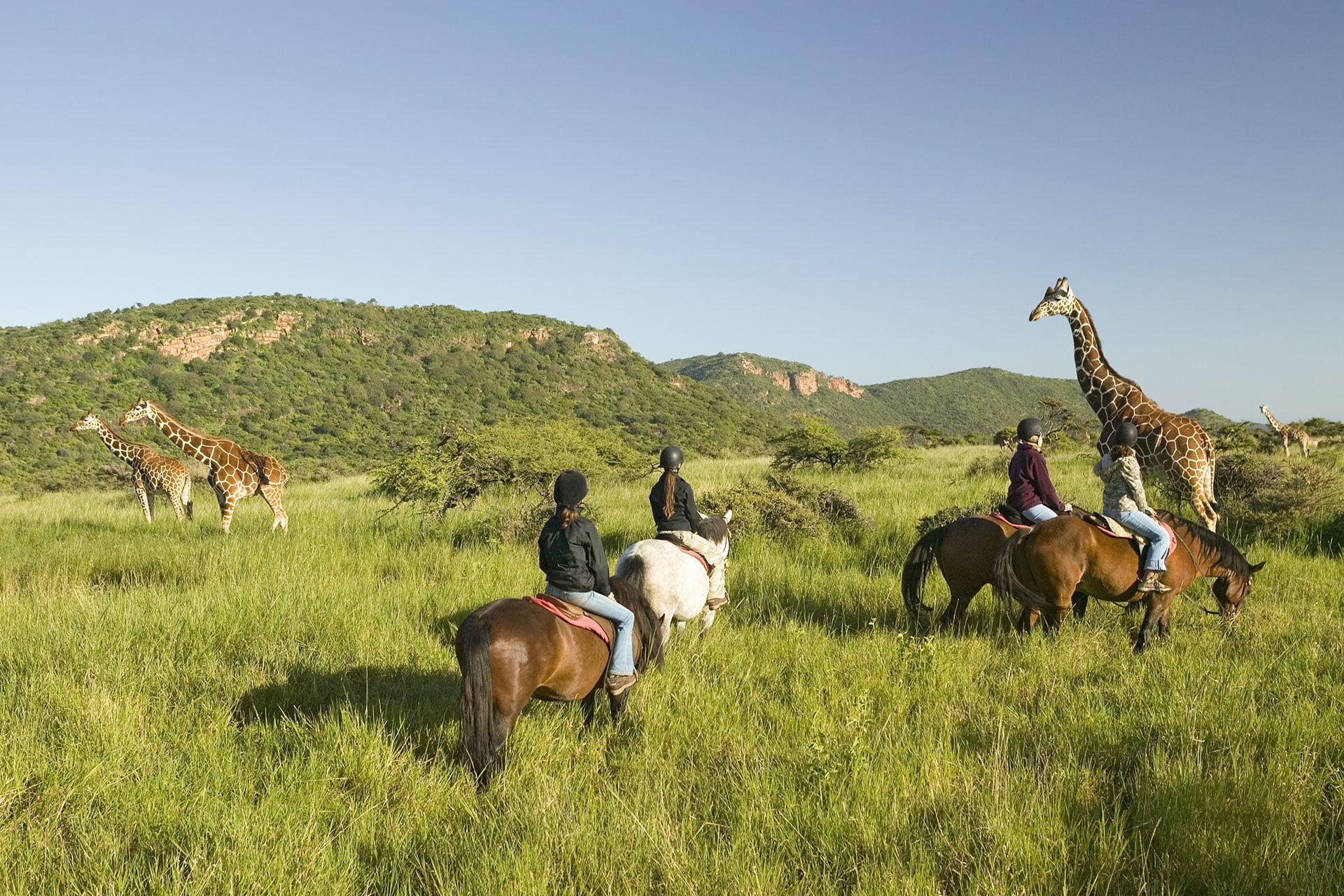 eenagers on a luxury African safari ride horses through the savannah, observing giraffes in the wild.