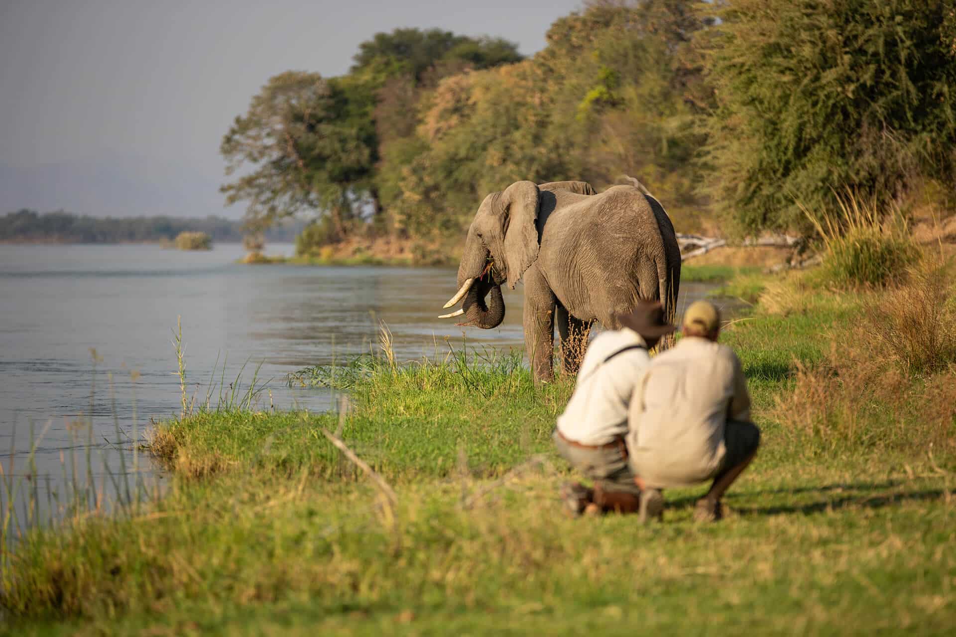 Two people crouching near a riverbank observing elephants up close during a guided walking safari in the African wilderness, offering a raw and immersive wildlife experience.