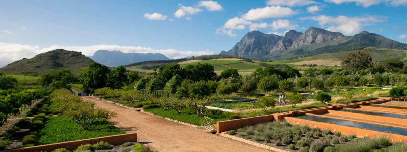 21.babylonstoren_hill_ahead_simonsberg_at_2_oclock_kitchen_garden_all_around