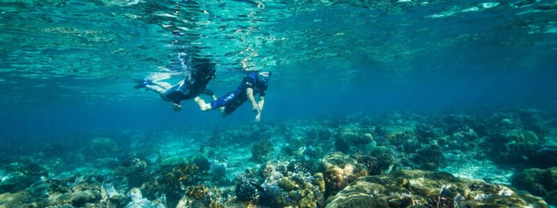 Azura Benguerra Island Snorkelling