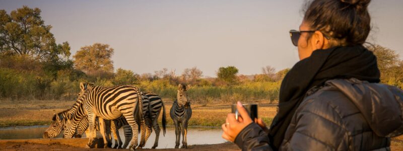 Safari-activities-Morning-coffee-stops