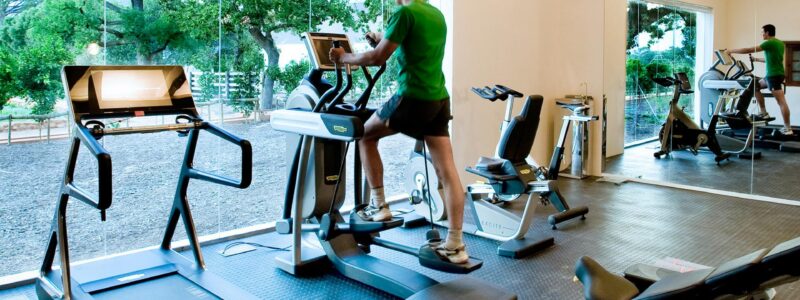 View-of-the-Gym-at-Babylonstoren