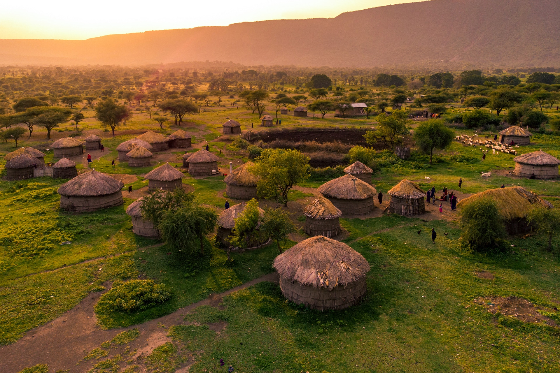 Aerial view of a traditional African village with round thatched huts at sunset, offering an immersive cultural safari experience into indigenous customs and heritage.