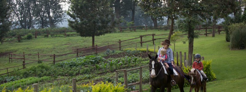 niels_van_gijn_manor_6r1a1936