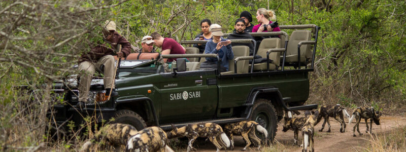 Sabi Sabi Little Bush Camp