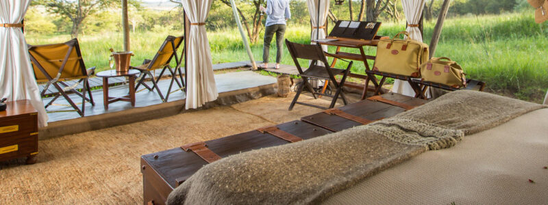 silverless_pioneer_6r1a6123