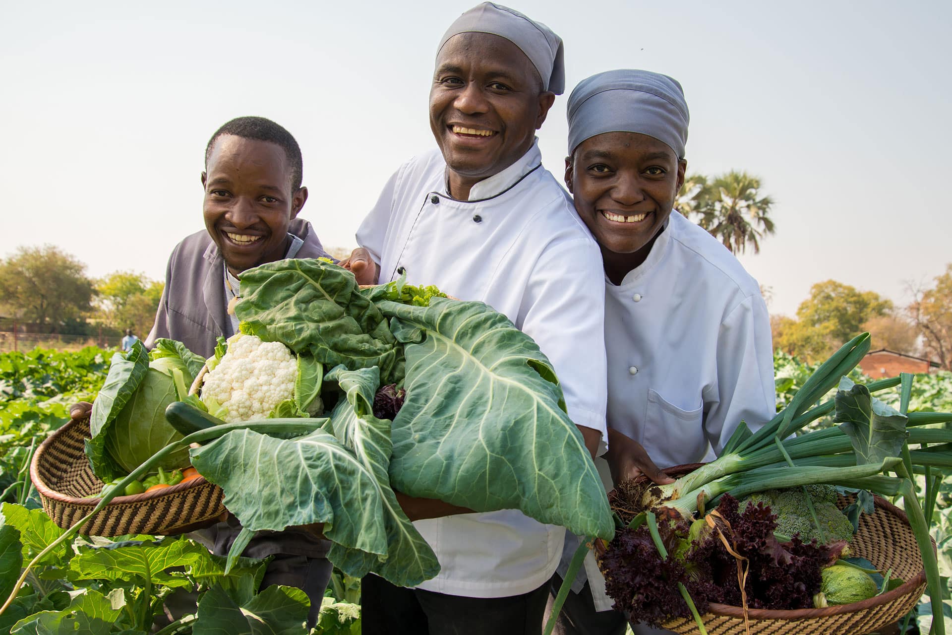 The vegetable garden at Stanley & Livingstone, Victoria Falls, part of sustainable travel